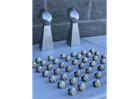 Super Bowl Champions